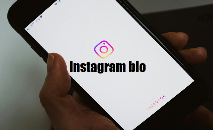 instagram bio