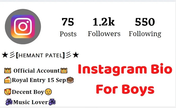 instagram bio for boys hindi